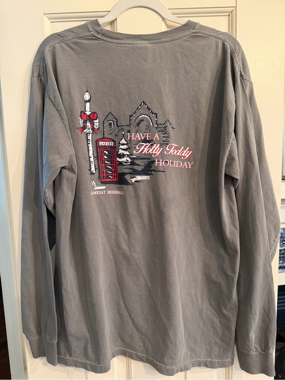Have a Hotty Toddy Holiday Comfort Colors Gray Long-Sleeve Like New